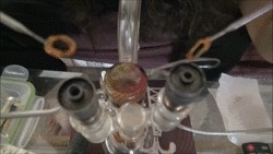 danieldabs:  danieldabs:  weedblogandcoolshit:  Double Halo Dabs  Professional dabber  albthewhale