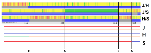 ancestry dns should i see my dna matches ancestry dns should i see my dna matches