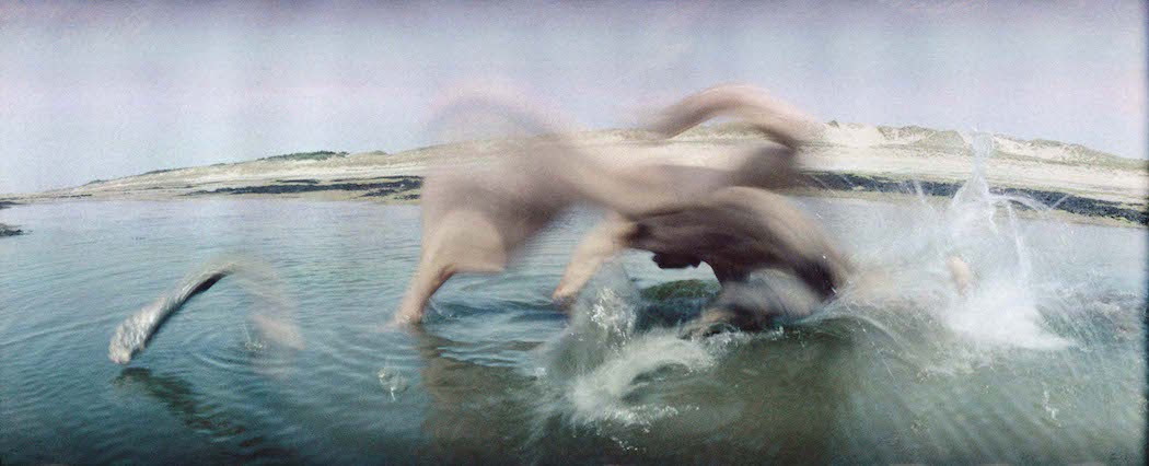 devantetderriere:  FREDERIC FONTENOY - Metamorphosis 1989    “It was like dancing,