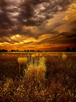 djferreira224:  Continuance by Phil~Koch on Flickr. 