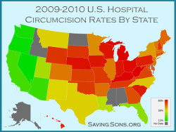 maptitude1:  Circumcision rates by state  Nice to still see so much red on the map!!