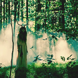    I just want my life to be like these pictures → enchanted forest   