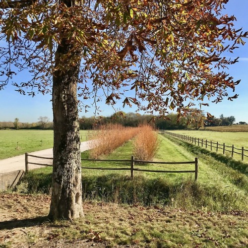 Paysage rural en automne, Margaux, Gironde, France, 2017.