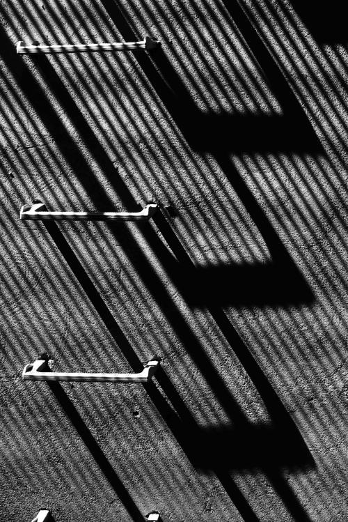eduardoseco:  “Vertical”    ©Eduardo seco 