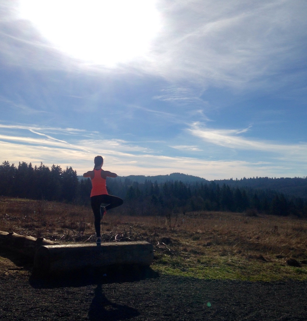 harmsland:  Oregon’s spectacular