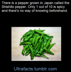 ultrafacts:  Source Follow Ultrafacts for more facts 