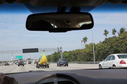 boredology: jeffrubinjeffrubin: When I was in Florida last week I saw a car shaped like a banana. Th