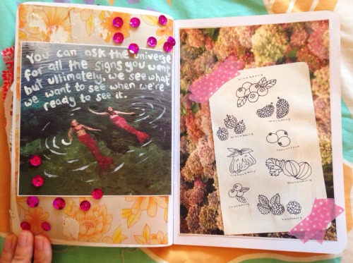 tumblr photo superficial-vessels 2