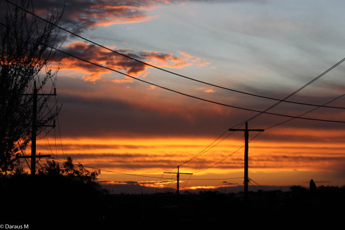 darausm:where else would i rather be oak park | august 2015 Copyright © Daraus M. All rights reserve