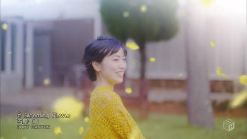 himanji:  PV 石原夏織　Blooming Flower 