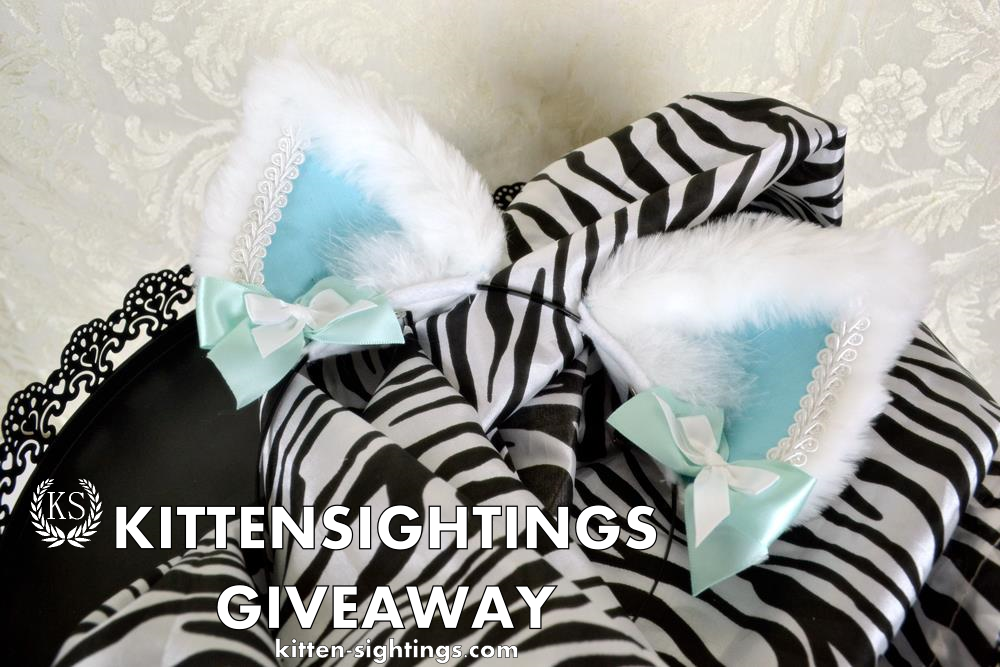 kitten-sightings:  Time for a little giveaway!In commemoration of 2,000  followers,