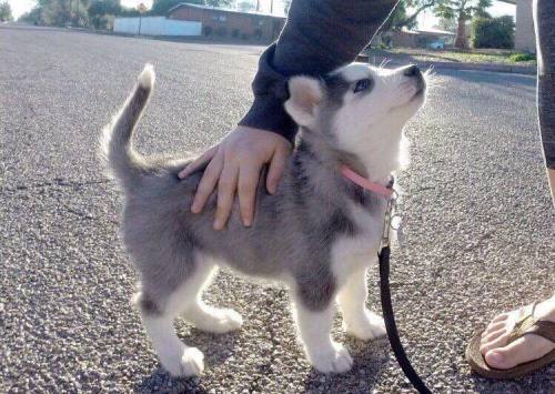 The Most Beautiful Thing You'll See Today.