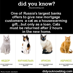 did-you-kno:  One of Russia’s largest banks