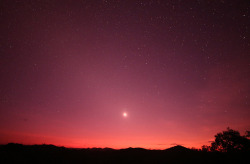 astronomyblog:    Venus at Dawn - Nov 19,