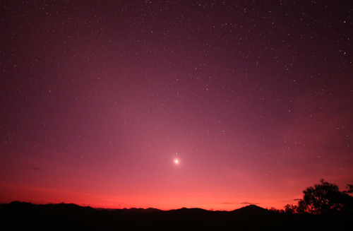 Venus at Dawn - Nov 19, 2018image credit:Joseph Brimacombe