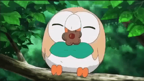 Let's have a little fun, shall we? — Rowlet can't find his cookie,,,