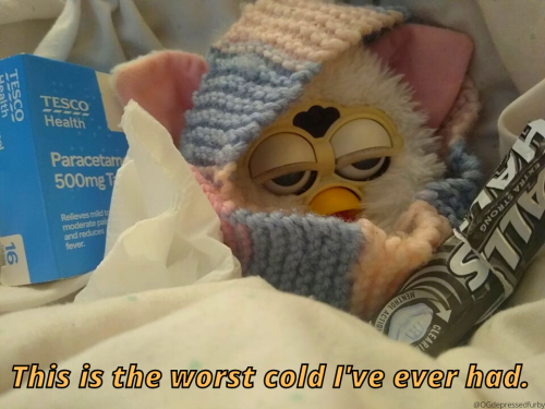  4 colds in 3 months&hellip;I am angy