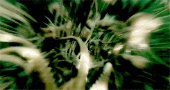 fyesharrypotter:  &ldquo;I haven’t a clue who put your name in the Goblet,