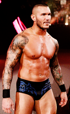 Sometimes Theres Wrasslin