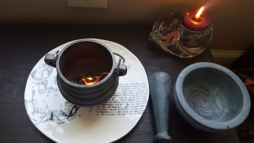 only-fragments: A spell to help an animal find their forever home  Tools: Mortar and pestle  Ca