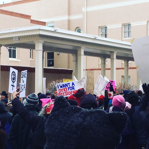 doctornsara:  Went and joined my local million woman march.