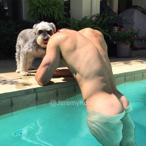 It&rsquo;s August. It&rsquo;s hot. Cool down. Be kind to our four-legged friends. Follow stu