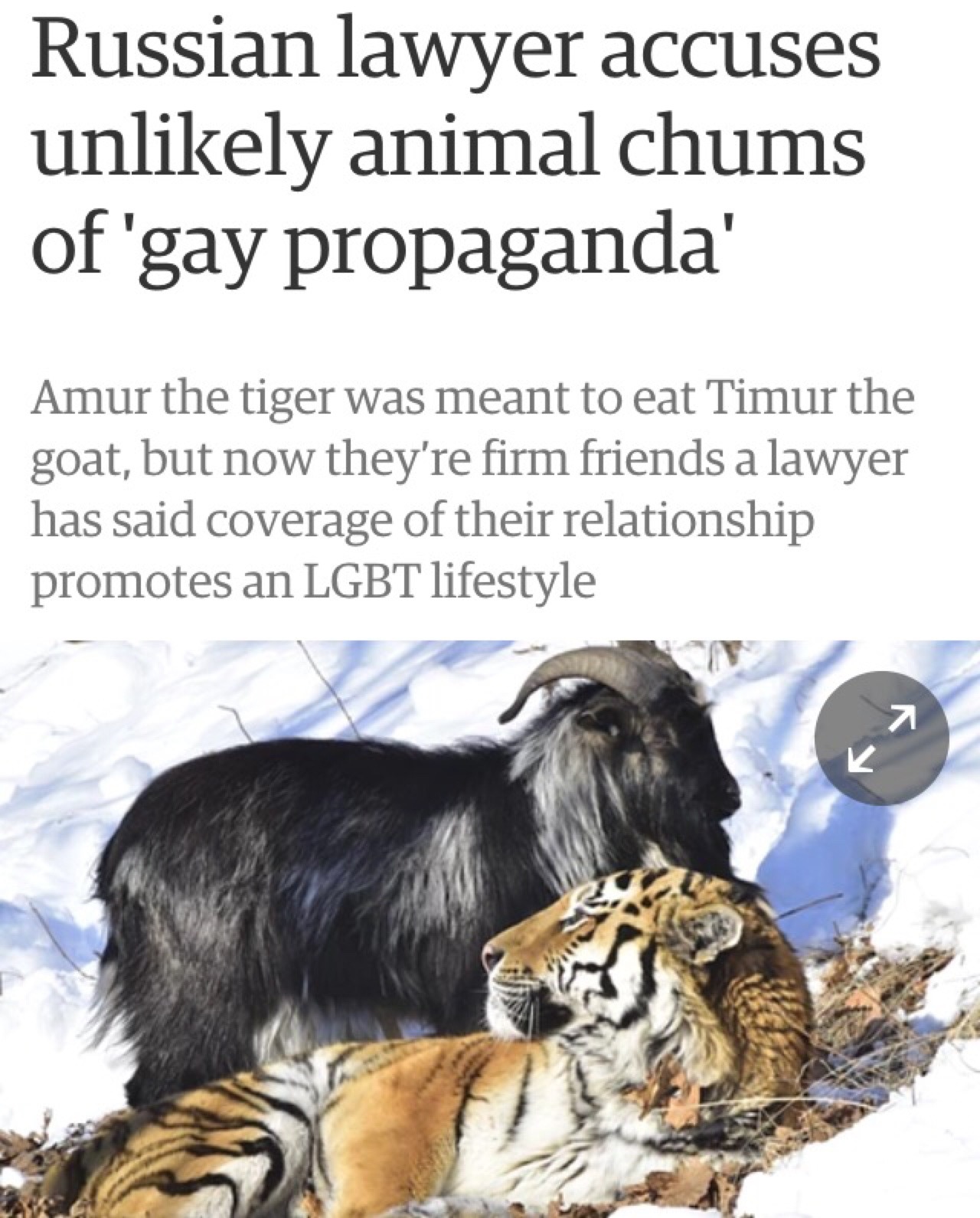 pornosophical:  copperbadge:  theactualcluegirl:  jazzminaveena:  it’s real omg