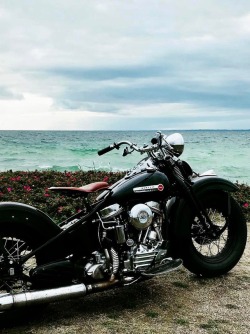 Utwo:  Hd Panhead© Thomas Gissel