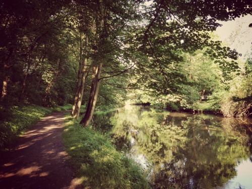 Bürgerpark Braunschweig
04.06.2014
Radweg zur Arbeit