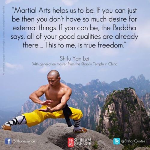 swordstaichikungfuwingchun:  The way to be a kung fu master!! Great quotes for you!! Buy professional Tai Chi Swords on: http://www.icnbuys.com/tai-chi-swords  Follow back 