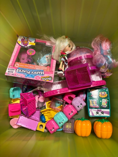 I Forgot How Many Shopkins I Own