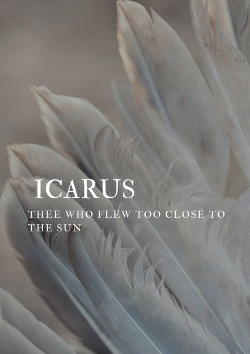 apeollo: greek mythology → icarus Attempting to escape from Crete by means of wings; his father warn