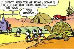 Sex i-restuff:i-restuff:Out of Context Donald pictures