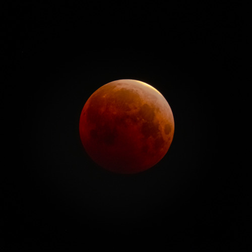 bigbudmcleod: While you were sleeping a blood super moon eclipse appeared.