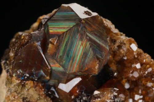 ifuckingloveminerals:Andradite GarnetSan Pedro Mine, New Placers District, Santa Fe Co., New Mexico,