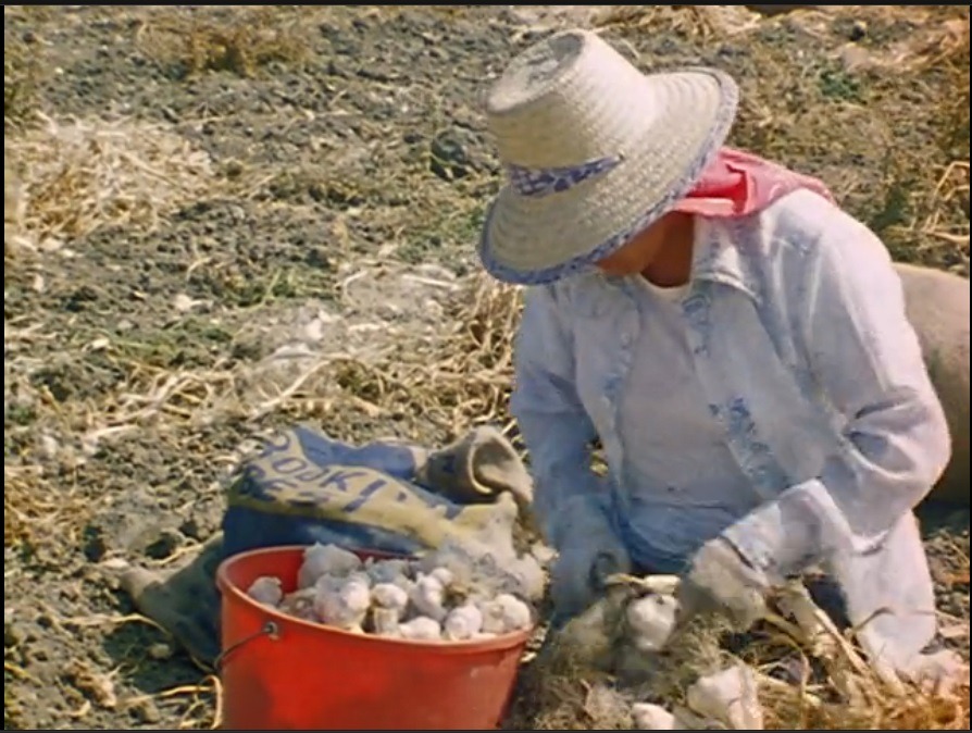 pharrfromheaven:  Garlic Is As Good As Ten Mothers (1980) 