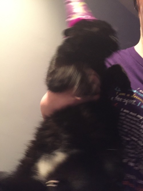 unflatteringcatselfies:  wizards