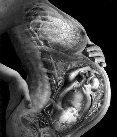 aphroditesdead:  sem-piter:  I really never want to get pregnant  This is an amazing