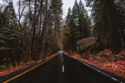 jasonincalifornia:Fall Yosemite RoadsPrints/Society6