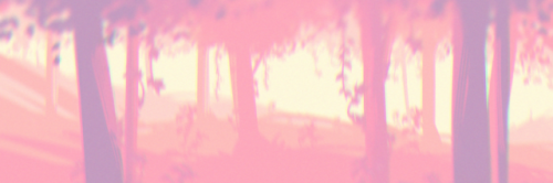 Aesthetic Twitter Banners That Will Put You Out Of Your Misery