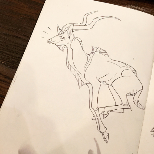 shoomlah:  the first 12 days of Inktober!  I’ve been doing ungulates because… because I love ungulates. 