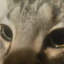 moldyrawmeat