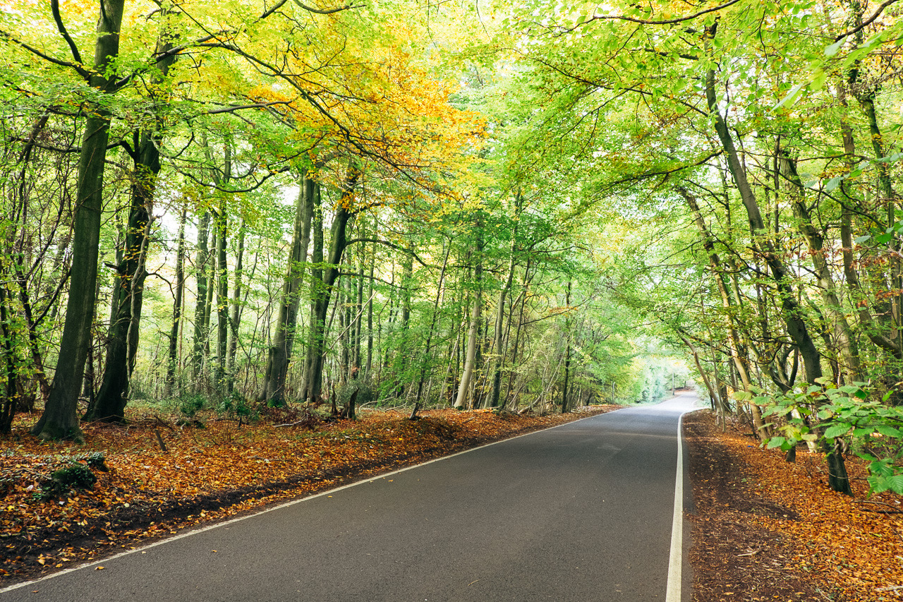 danfreemanphoto:  Autumn RoadsMy favourite road to cycle in Autumn, just missed the