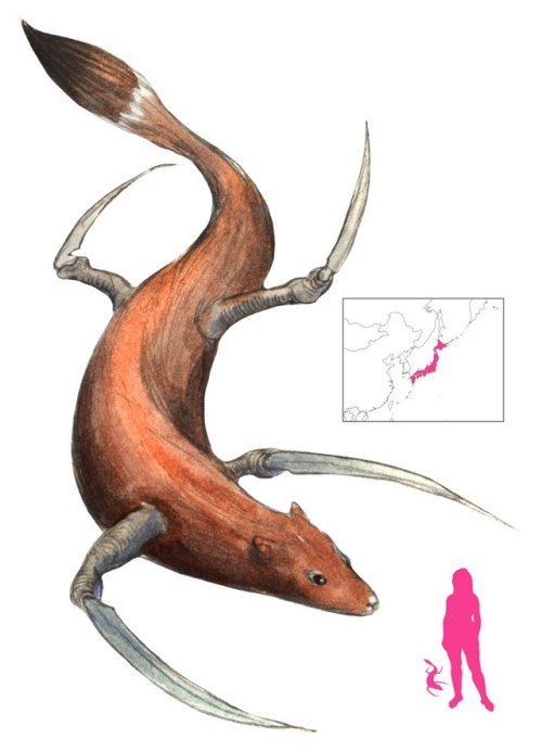 cryptids-of-the-world: The Kamaitachi is a weasel-like yokai found in Japan. The Kamaitachi is descr
