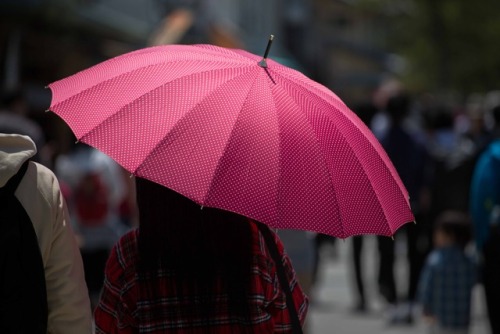 Following the red umbrella