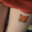 morerightmeow