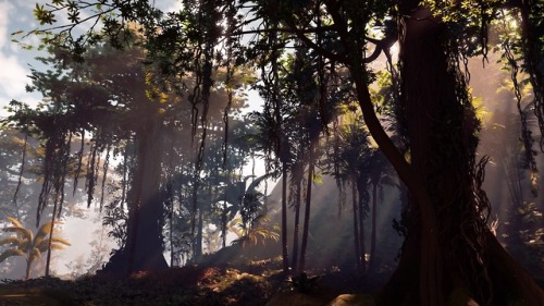secretfantasyspace: Magical place!Just imagine being there