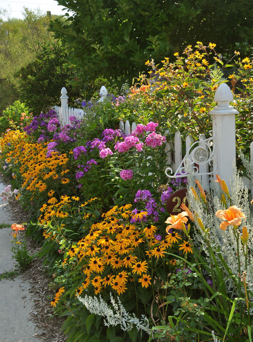 cookpot:[image description: Photo of a white fence with abundant flowers of various types and colors