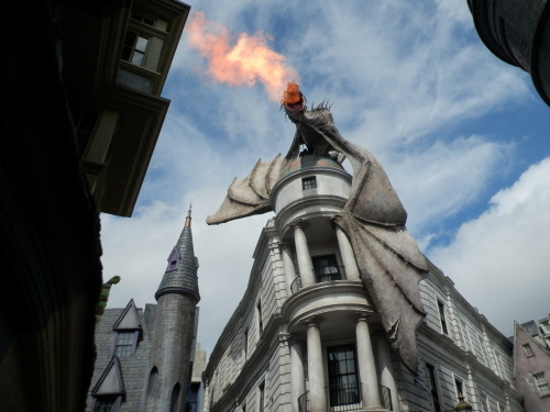 wizarding world of harry potter