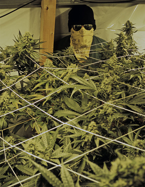 DRUGWAR
